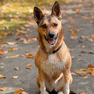 Meet your Posher, Oana